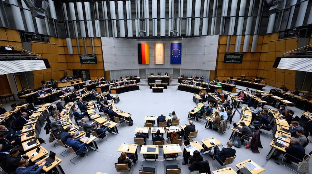 Bei Sitzungen des Berliner Abgeordnetenhauses vergreifen sich Parlamentarier schon mal im Ton. (Archivbild) / Foto: Bernd von Jutrczenka/dpa