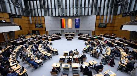 Bei Sitzungen des Berliner Abgeordnetenhauses vergreifen sich Parlamentarier schon mal im Ton. (Archivbild) / Foto: Bernd von Jutrczenka/dpa