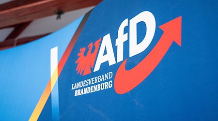 «Fake Accounts» des Verfassungsschutzes -  also verdeckte Profile in den sozialen Medien - sorgen für Streit und eine gerichtliche Auseinandersetzung mit der AfD. Sie wird in Brandenburg vom Nachrichtendienst als gesichert rechtsextremistisch eingestuft.  / Foto: Christophe Gateau/dpa