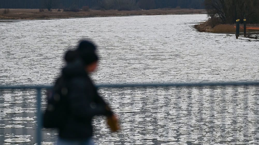 Auf der Oder hat sich in den vergangenen Woche eine Eisdecke gebildet. (Archivbild) / Foto: Sebastian Gollnow/dpa