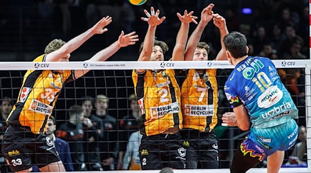 Berlin Volleys stehen vor Aus in der Königsklasse