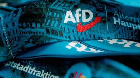 Die AfD hofft bei der Wahl zum Berliner Abgeordnetenhaus am 20. September auf Zugewinne. (Symbolbild) / Foto: Carsten Koall/dpa