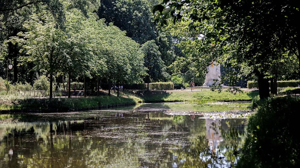 Am Goldfischteich im Berliner Tiergarten soll ein Denkmal für die während der NS-Zeit verfolgten Zeugen Jehovas entstehen. (Archivbild) / Foto: Carsten Koall/dpa
