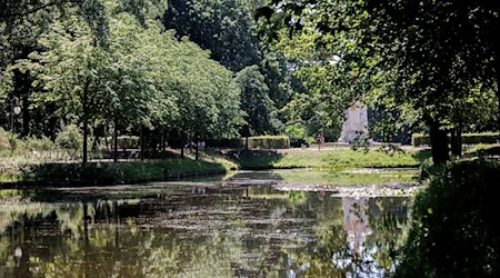 Am Goldfischteich im Berliner Tiergarten soll ein Denkmal für die während der NS-Zeit verfolgten Zeugen Jehovas entstehen. (Archivbild) / Foto: Carsten Koall/dpa