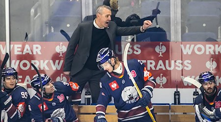 Trainer Serge Aubin und die Eisbären Berlin müssen in der DEL um die direkte Viertelfinal-Qualifikation kämpfen. / Foto: Andreas Gora/dpa