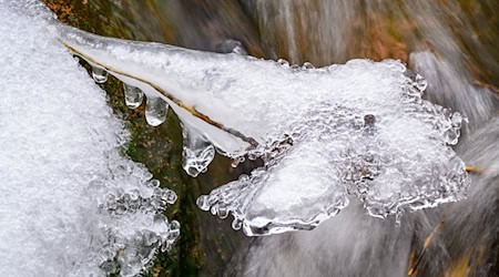 Mit dem Eis könnte es in Berlin und Brandenburg bald vorerst vorbei sein. (Symbolbild) / Foto: Patrick Pleul/dpa