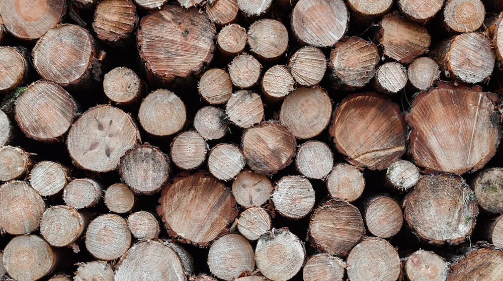 Im Winter ist Holzerntezeit - geschlagenes Holz stapelt sich am Wegesrand. (Symbolbild) / Foto: Patrick Pleul/dpa-Zentralbild/ZB