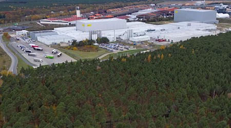 Das Oberverwaltungsgericht Berlin-Brandenburg erklärte den Bebauungsplan in Baruth/Mark zur Erweiterung eines Industriegeländes für «nicht vollziehbar». Betroffen ist der geplante Bau eines Dosen-Werks für Red Bull. (Archivbild)  / Foto: Patrick Pleul/dpa