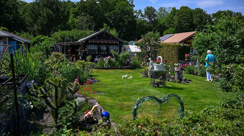 In Berlin gibt es mehr als 70.000 Kleingärten. (Archiv)  / Foto: Jens Kalaene/dpa