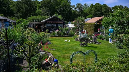 In Berlin gibt es mehr als 70.000 Kleingärten. (Archiv)  / Foto: Jens Kalaene/dpa