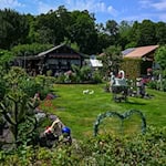 In Berlin gibt es mehr als 70.000 Kleingärten. (Archiv)  / Foto: Jens Kalaene/dpa