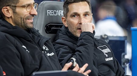 Andre Mijatovic (l) wird Hertha-Trainer Stefan Leitl im Spiel gegen Hannover 96 vertreten. (Archivbild) / Foto: Andreas Gora/dpa