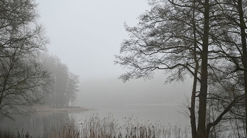 Auf dem Sprengplatz im Grunewald sind Detonationen zu hören. Spaziergänger haben der Polizei zufolge aber nichts zu befürchten. (Archivbild) / Foto: David Hammersen/dpa