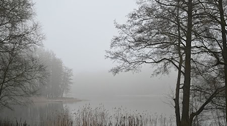 Im Grunewald kracht es – aber nur aus Ausbildungsgründen