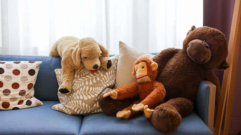 Tausende Kuscheltiere sollen gespendet werden. (Symbolbild) / Foto: Jan Woitas/dpa