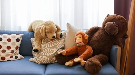 Tausende Kuscheltiere sollen gespendet werden. (Symbolbild) / Foto: Jan Woitas/dpa