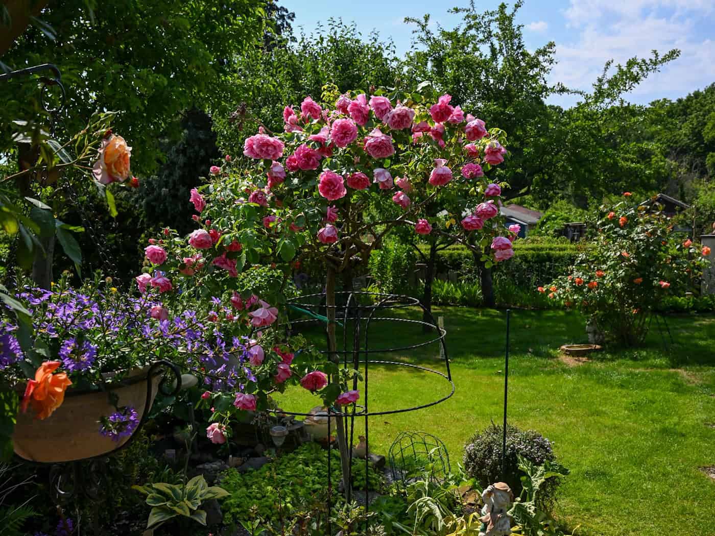 Viele Kleingärten in Berlin sind die reinsten grünen Paradiese. (Archivbild) / Foto: Jens Kalaene/dpa