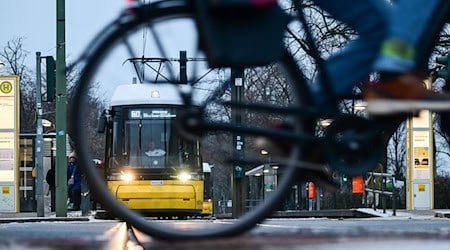 Bereits seit Tagen kommt es aufgrund der Witterung zu erheblichen Einschränkungen im Tramverkehr. (Archivbild) / Foto: Sebastian Gollnow/dpa