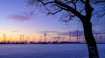 SPD und CDU in Brandenburg wollen einen «Wildwuchs» bei Windkraftanlagen verhindern (Archivbild). / Foto: Patrick Pleul/dpa