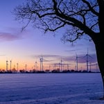 SPD und CDU in Brandenburg wollen einen «Wildwuchs» bei Windkraftanlagen verhindern (Archivbild). / Foto: Patrick Pleul/dpa