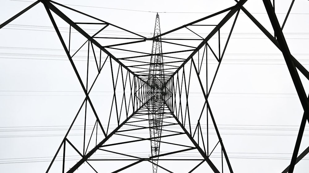 Im Berliner Nordosten hat es einen Stromausfall gegeben. (Symbolbild) / Foto: Bernd Weißbrod/dpa