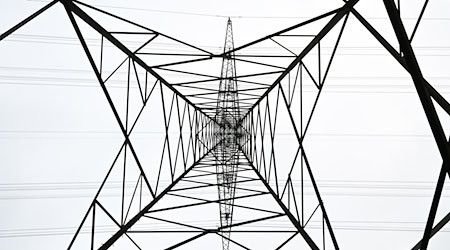 Im Berliner Nordosten hat es einen Stromausfall gegeben. (Symbolbild) / Foto: Bernd Weißbrod/dpa