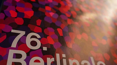 Die Gewerkschaft Verdi hat zum Warnstreik in einem Berlinale-Kino aufgerufen. (Symbolbild) / Foto: Soeren Stache/dpa