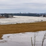 Entlang der Oder hatte es zuletzt eine Hochwasserwarnung gegeben. / Foto: Patrick Pleul/dpa