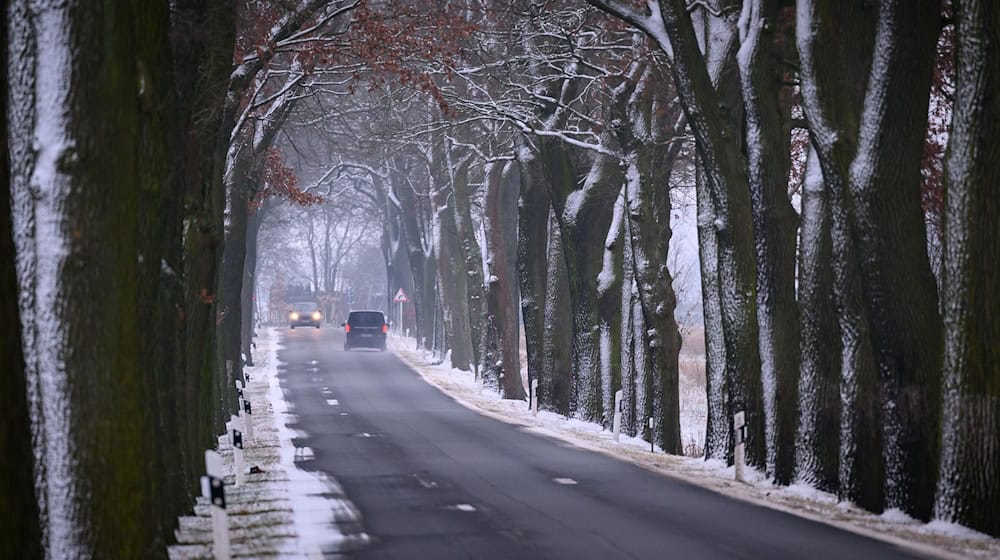 Es bleibt glatt auf den Straßen wie hier im östlichen Brandenburg. (Symbolbild) / Foto: Patrick Pleul/dpa
