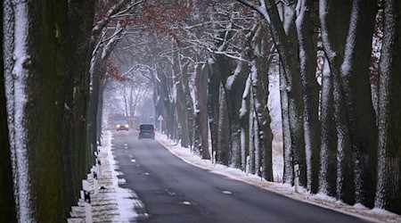 Es bleibt glatt auf den Straßen wie hier im östlichen Brandenburg. (Symbolbild) / Foto: Patrick Pleul/dpa