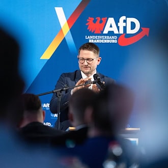 Brandenburgs AfD-Landesvorsitzender René Springer kandidiert erneut für den Landesvorsitz (Archivbild).  / Foto: Christophe Gateau/dpa