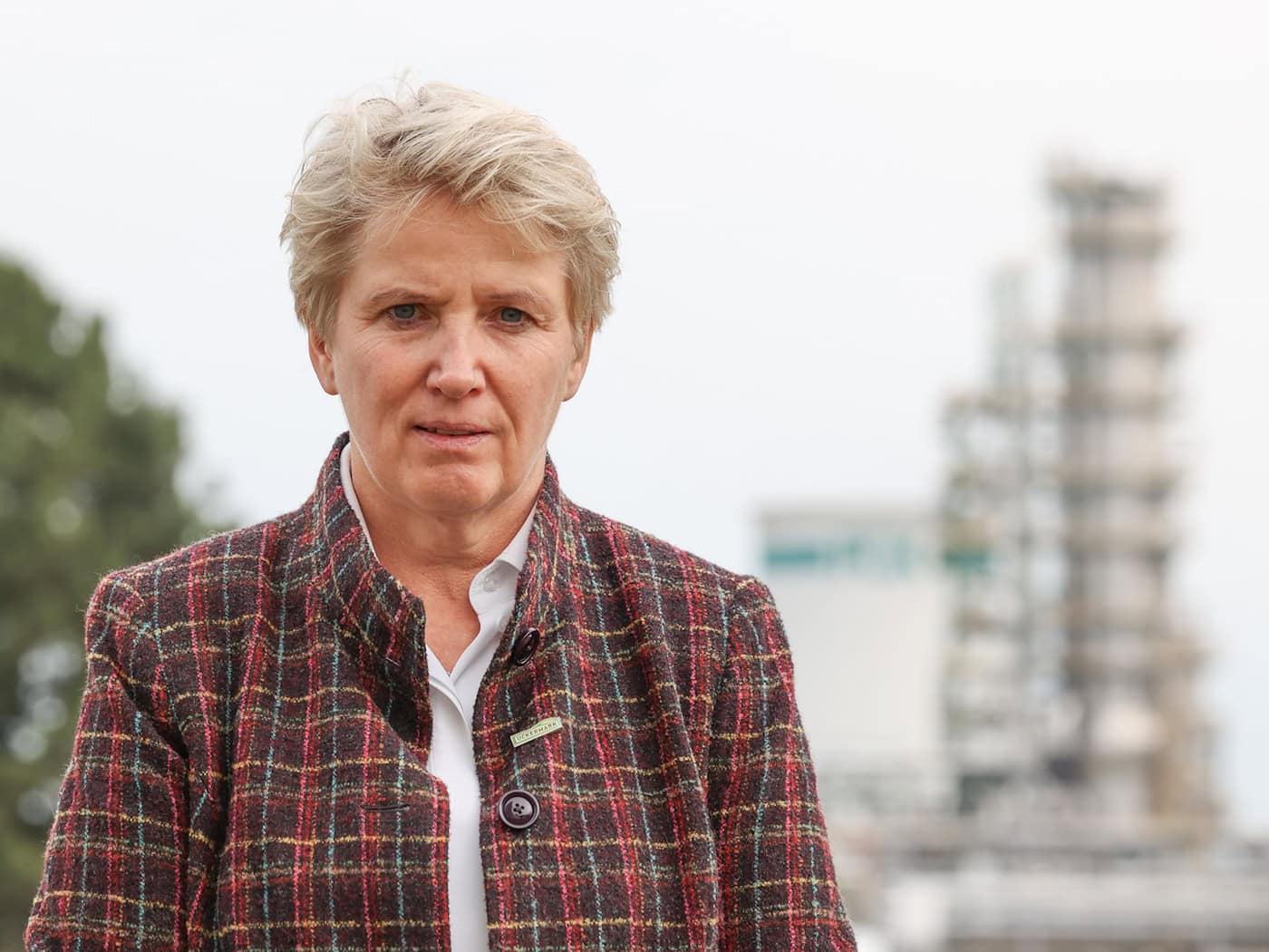 Wird auf einem AfD-Plakat abgebildet: Landrätin Dörk. (Archivbild) / Foto: Joerg Carstensen/dpa