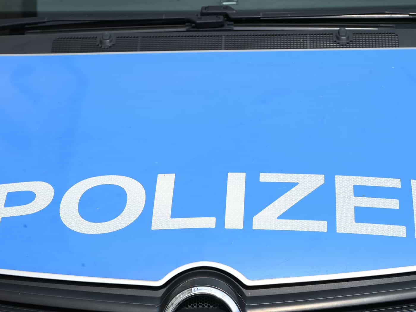 Die Berliner Polizei ist am Samstag mit 1.800 Einsatzkräften in der Hauptstadt unterwegs. (Symbolbild) / Foto: Malin Wunderlich/dpa