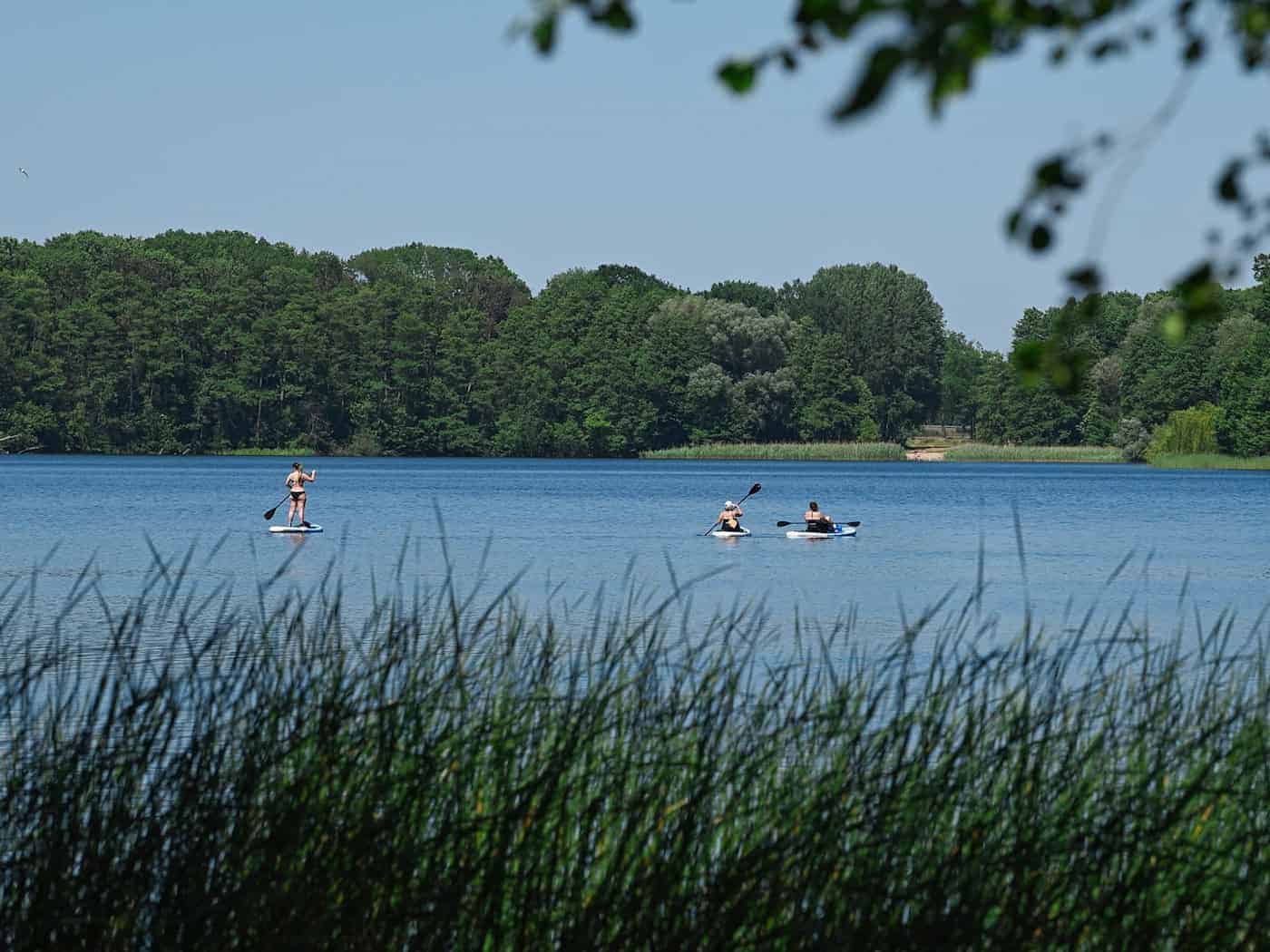 Die meisten Todesopfer gab es bei Badeunfällen im See. (Symbolbild) / Foto: Soeren Stache/dpa-Zentralbild/dpa