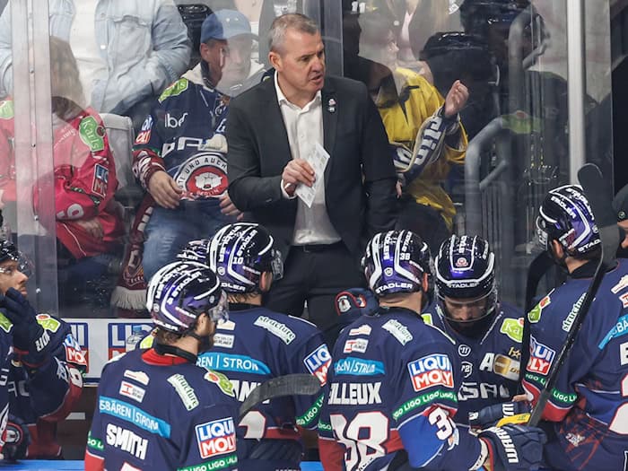 Die Eisbären Berlin suchen einen Weg aus dem aktuellen Formtief. (Archivbild) / Foto: Andreas Gora/dpa