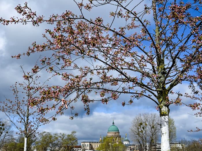 Wolken ziehen über den blauen Himmel der Hauptstadtregion. In den nächsten Tagen sollte man auf alle Wetterlagen vorbereitet sein. (Symbolbild) / Foto: Jens Kalaene/dpa/ZB