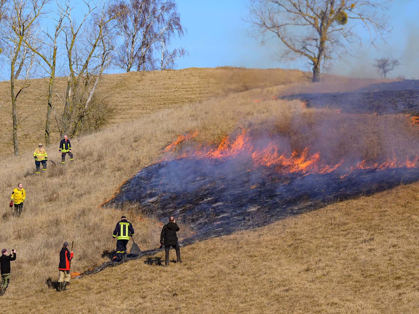 Das kontrollierte Feuer entfernt abgestorbenes Gras aus dem Vorjahr und schafft wieder Licht für Pflanzen. / Foto: Patrick Pleul/dpa
