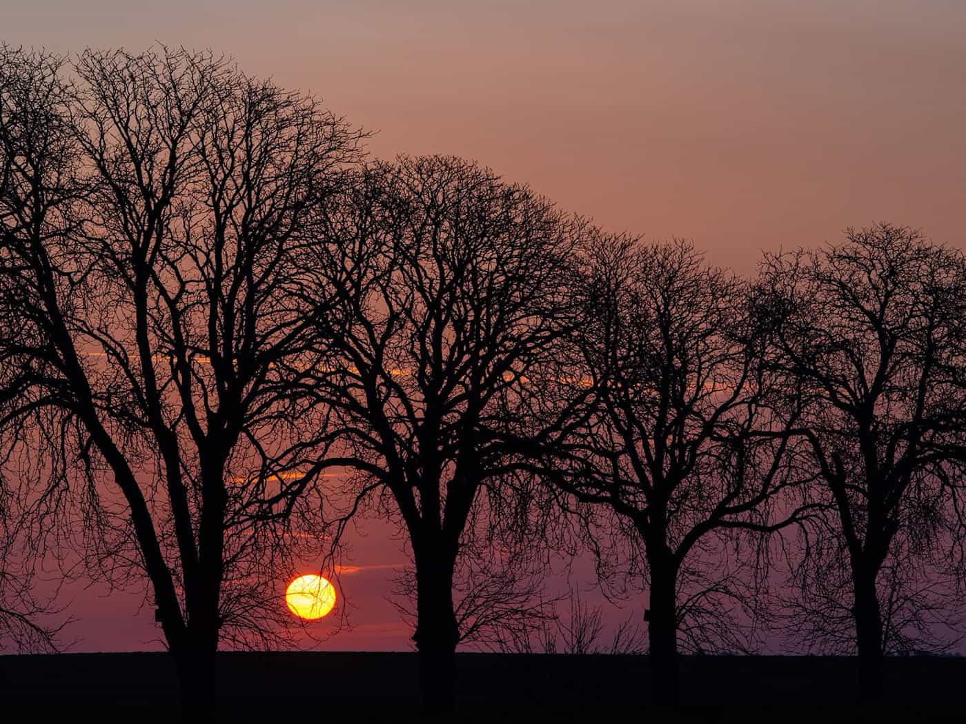 Am Tag lautet die Prognose: Sonnenschein und frühlingshafte Temperaturen. / Foto: Patrick Pleul/dpa