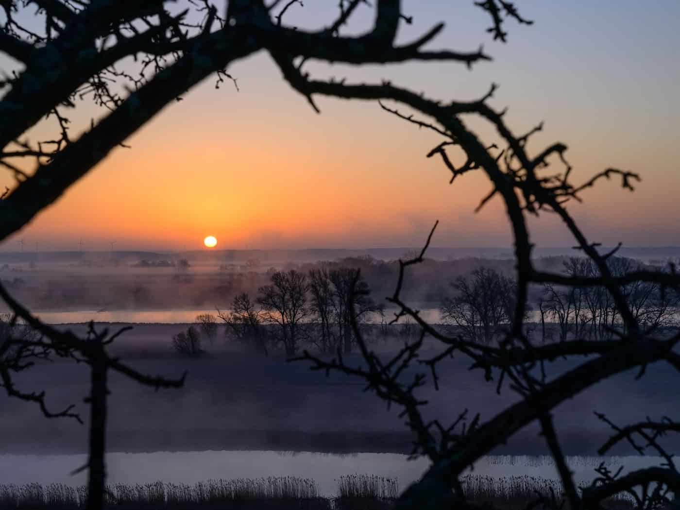 Am Morgen wird es in Berlin und Brandenburg frostig, später zeigt sich die Sonne. (Symbolbild) / Foto: Patrick Pleul/dpa