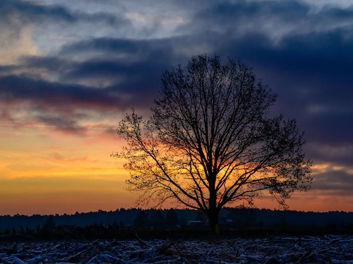 Dicke Regenwolken ziehen in den nächsten Tagen immer wieder über Berlin und Brandenburg. (Symbolbild) / Foto: Patrick Pleul/dpa