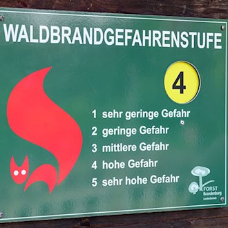 Die Waldbrandgefahr hat sich in einigen Regionen Brandenburg bereits erhöht. (Symbolbild) / Foto: Patrick Pleul/dpa