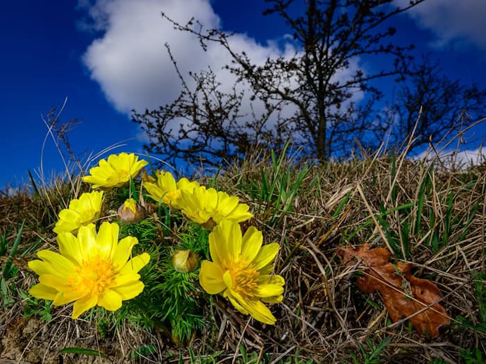 In Berlin und Brandenburg sorgt ein Hochdruckeinfluss für mildere Nächte. (Symbolbild) / Foto: Patrick Pleul/dpa