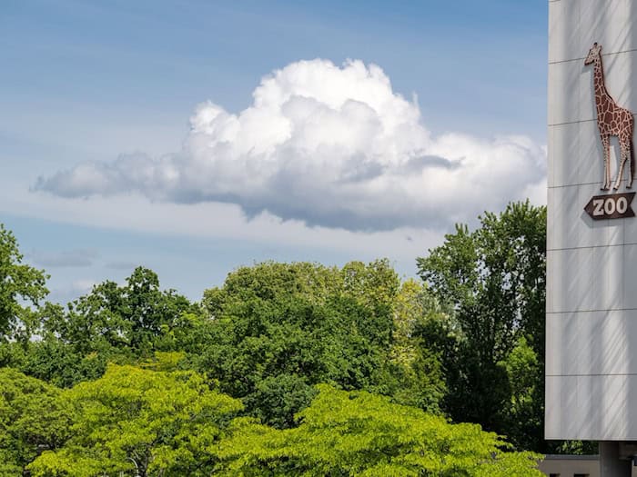 Nicht nur im Zoo, auch im Tierheim Berlin gab es zuletzt Fälle. (Archivbild) / Foto: Soeren Stache/dpa