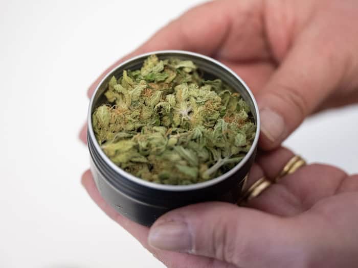 Seit 2024 darf Cannabis in Anbauvereinigungen legal an Mitglieder abgegeben werden. (Archivbild) / Foto: Christophe Gateau/dpa