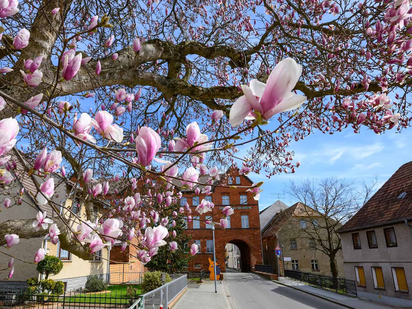 Auch zum Wochenstart gibt es einen Vorgeschmack auf den April. (Archivbild) / Foto: Patrick Pleul/dpa