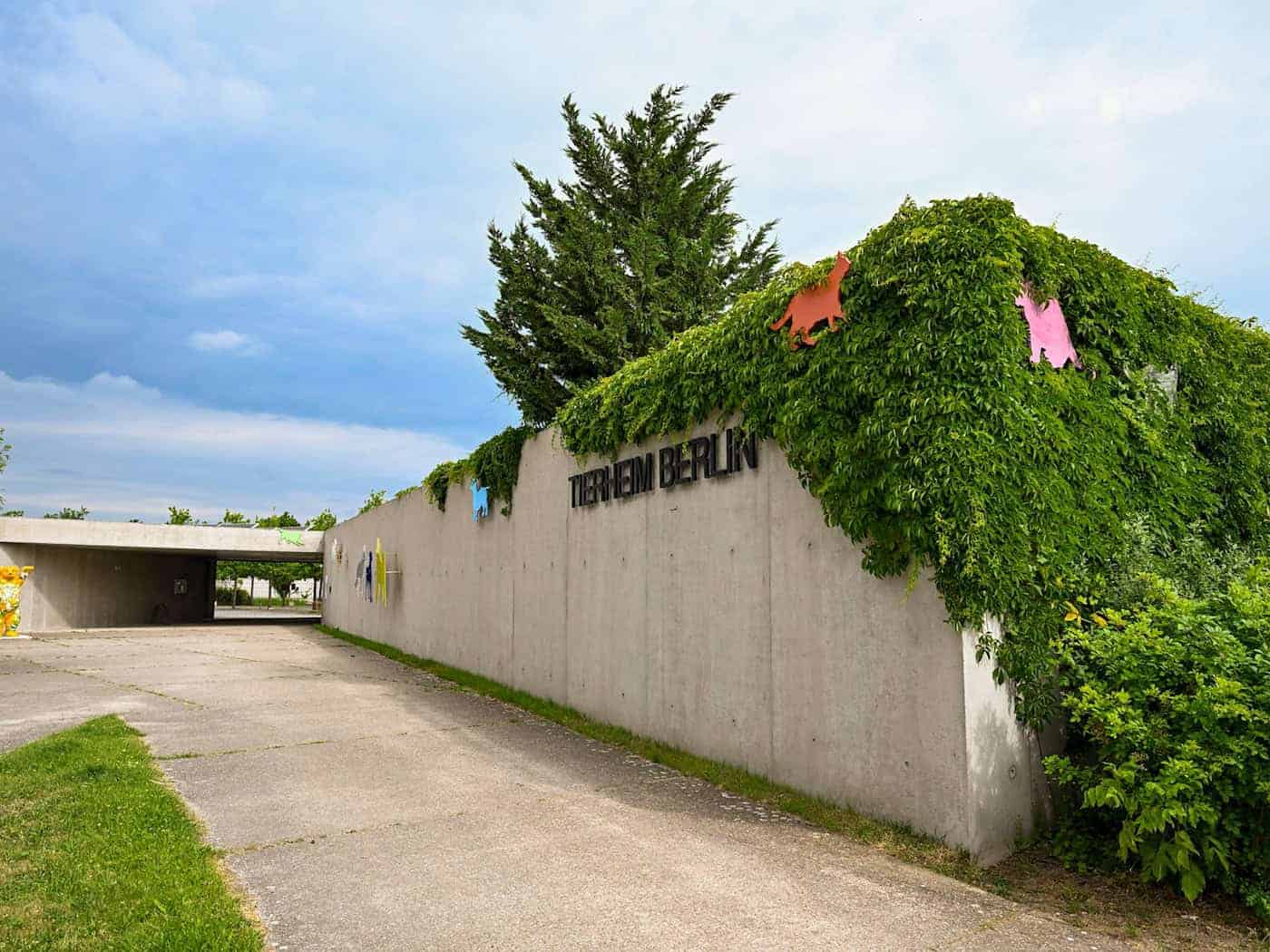 Ab Samstag kann das Vogelhaus des Tierheims wieder besucht werden. (Archivbild) / Foto: Jens Kalaene/dpa