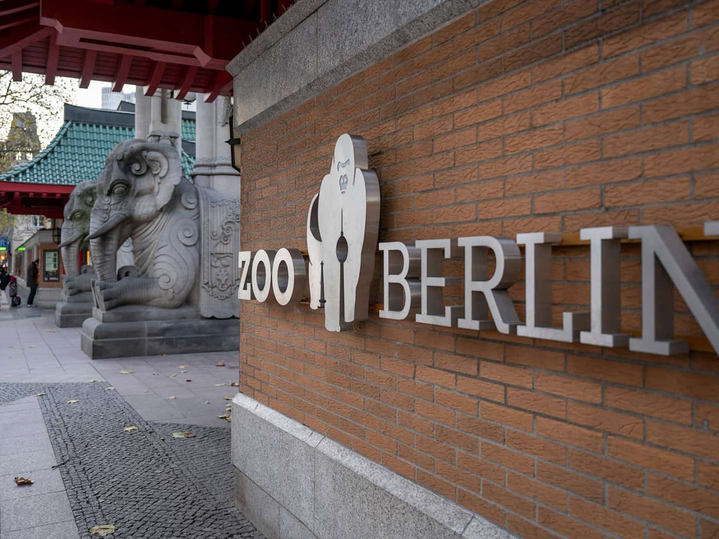 Im Berliner Zoo wurde die Newcastle-Krankheit nachgewiesen (Archivbild) / Foto: Monika Skolimowska/dpa