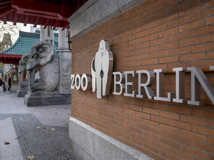 Im Berliner Zoo wurde die Newcastle-Krankheit nachgewiesen (Archivbild) / Foto: Monika Skolimowska/dpa