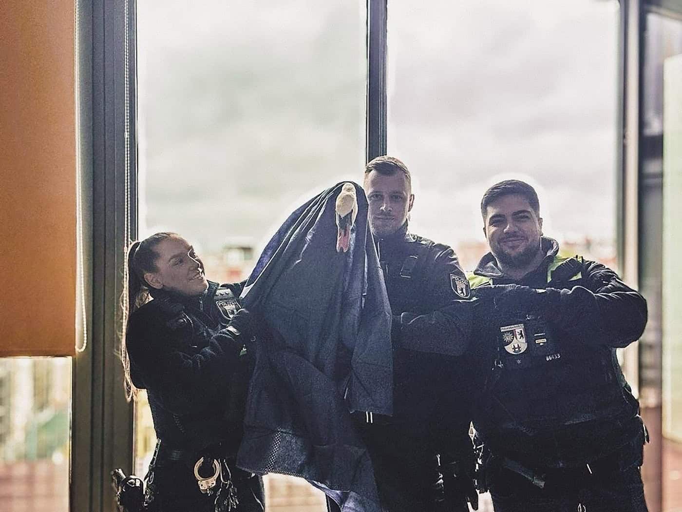 Polizisten haben in Berlin-Kreuzberg einen Schwan gerettet, der sich auf einen Balkon einer Wohnung in der 5. Etage verirrt hatte. / Foto: Polizei Berlin/dpa