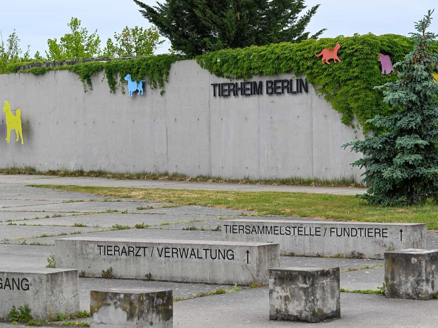 Im Tierheim Berlin gibt es neben Hunden und Katzen auch Tauben, Papageien und andere Vögel. (Archivbild). / Foto: Soeren Stache/dpa